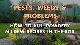 How to Kill Powdery Mildew Spores in the Soil [upl. by Rother]