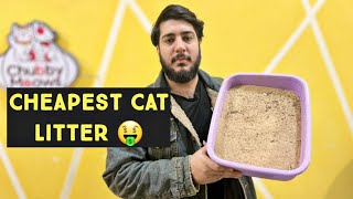 Very Economical Cat Litter  Wooden Pallet Cat Litter  Best amp Cheap Cat Litter [upl. by Aland]