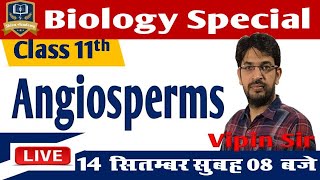 11th Biology  Angiosperms  By Vipin sir [upl. by Adyahs]