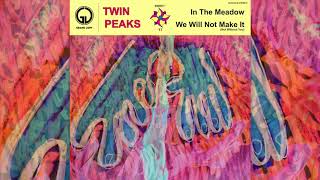 Twin Peaks  quotIn The Meadowquot Official Audio [upl. by Box]