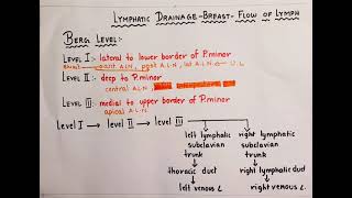 Lymphatic drainage of breastsimplified [upl. by Tillion]