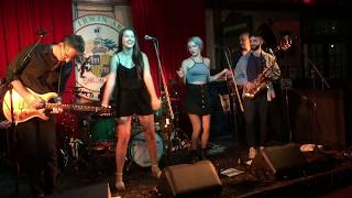 Awesome Classic Rock  Fun Austin Variety Cover Band Shakedown plays Old Time Rock and Roll [upl. by Juback]