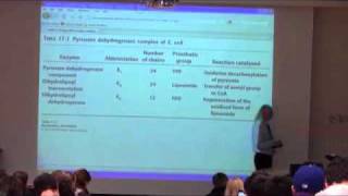 Citric Acid Cycle I [upl. by Appleby]