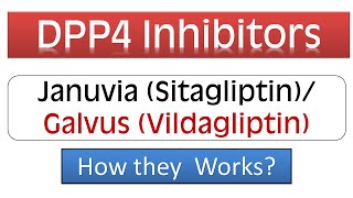 DPP4 Inhibitors  Januvia Sitagliptin Galvus Vidagliptin  Pharmacology amp Mechanism of Action [upl. by Eelhsa]