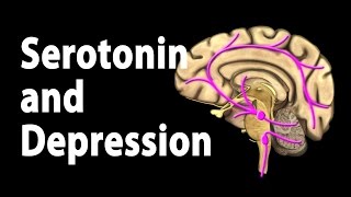 Serotonin and Treatments for Depression Animation [upl. by Ajar]