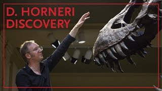 Dr Thomas Carr Introduces the Daspletosaurus Horneri [upl. by Anisor]