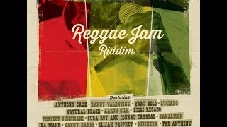 BRAND NEW2013 REGGAE JAM RIDDIM MEGA MIX PROMO [upl. by Eloise]