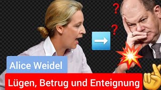 💔quotLügen Betrug und Enteignung Warum Deutschland zum Opfer seiner eigenen Regierung wirdquot 💥 AfD [upl. by Atiluap483]