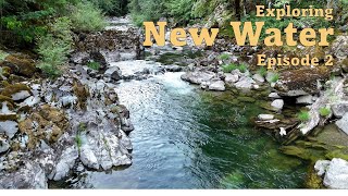 Fly Fishing The Western Cascades Of Oregon for Rainbow Trout EuroNymphing [upl. by Adala]