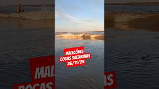 🔴 BOGAS ACTIVADAS fishing carp carpfishing fish bogas malecones dorados [upl. by Rednijar]