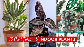 15 Cold Tolerant Indoor Plants  Houseplants for Cold Rooms [upl. by Weyermann229]