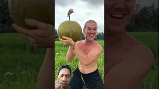 Inilah Kelapa Terbesar di Dunia kelapa coconut buah [upl. by Vadnee]