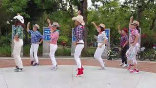 Hillbilly Girl Line Dance by Andy McGrath [upl. by Nelie200]