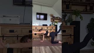 yoga flow vinyasa joganakręgosłup spine health healthylifestyle instagood joginka [upl. by Nevart]