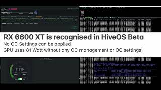 RX 6800 XT  Ethereum Hashrate Performance Analysis Under HiveOS [upl. by Edgardo920]