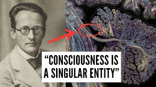 What Schrödinger Meant by Consciousness is a Singular Entity [upl. by Lindell]