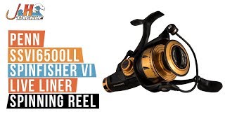 Penn SSVI6500LL Spinfisher VI Live Liner Spinning Reel  JampH Tackle [upl. by Nnylyoj]