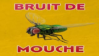 bruit de MOUCHE 🦟 bourdonnement [upl. by Evania46]