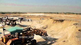 Salt packing Gujarat [upl. by Lustig18]