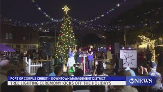 Tree lighting ceremony kicks off the holidays [upl. by Alyhc]