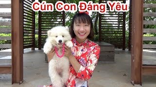 Cún Con Đáng Yêu ❤ BIBI TV ❤ [upl. by Croom]