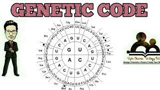 Genetic code basics  molecular basis of inheritance for NEET AIIMS JIPMER MCAT [upl. by Marielle]