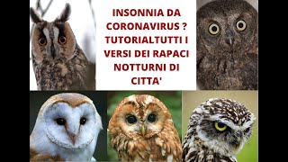 Insonnia da coronavirus Tutorial tutti i versi dei rapaci notturni di città [upl. by Mauretta427]