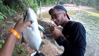 A Morning of Mixed Inshore Fishing Snook Almaco Jacks Blue Runners  Trinidad Caribbean [upl. by Petigny]