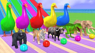 Basket Ball Game Game With Cow Elephant Gorilla Tiger Dinosaur Wild Animal Escape Cage Game [upl. by Leunad]