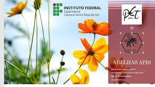 Curso Apicultura Apis mellifera [upl. by Erihppas]