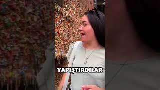 Bu Duvarı ASLA Yalama 😱 [upl. by Ruthanne878]