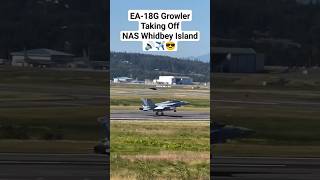 EA18G Growler Taking Off from NAS Whidbey Island 🔊✈️😎 aviation fighterjet shorts [upl. by Spiro]