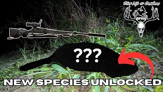 New species unlocked thermal hunting Vlog 9 [upl. by Millwater459]