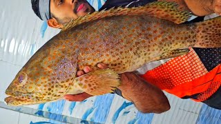 12 kg Hamour or Grouper or Kalava fish Arabic biriyani special fish sagar fish world hoodi Bnglr [upl. by Sedda706]