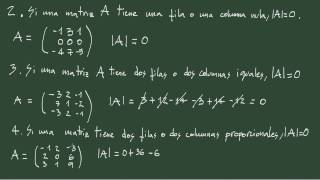 3 Propiedades de los determinantes II [upl. by Leuname]