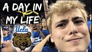 A Day in My Life at UCLA  S0PH0MORE YEAR [upl. by Denbrook646]