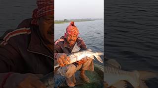 keral machhali per Jaal ka Nishan aa gaya fishing [upl. by Acnalb]