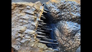 Stalactites amp Botryoidal Goethite Mineral [upl. by Anyd454]