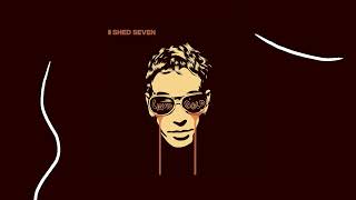 Shed Seven  On Standby Liquid Gold Version Official Audio [upl. by Willard]