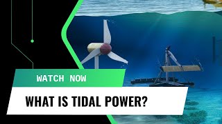 What is Tidal Power [upl. by Wallace]