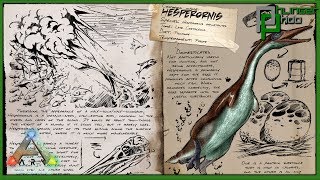 Ark Basics Hesperornis  HOW TO GET GOLDEN EGGS  EVERYTHING YOU NEED TO KNOW [upl. by Riggins807]