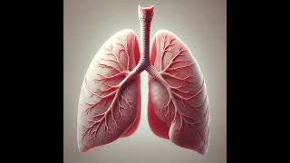 Breath sounds Quiz for Respiratory Students [upl. by Wivinia]