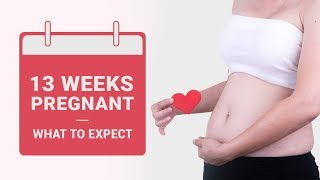 Pregnancy Week By Week  First Trimester  1 To 13 Weeks [upl. by Myrle]