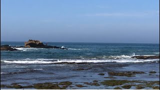 Essaouira Morocco 🇲🇦 🌊🌊 الصويرة February 2024 [upl. by Marchak452]