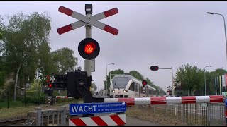 SpoorwegovergangRRcrossing Reuver Rijksweg N271 NL [upl. by Safir]