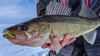 Ice Fishing Whitefish The Complete Guide [upl. by Suiradel407]