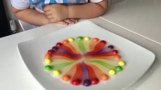 Kids science experiment with Skittles [upl. by Edroi]