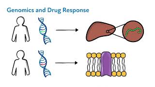 The Science of Pharmacogenomics [upl. by Etteniotnna]