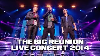 A1  EVERYTIME THE BIG REUNION LIVE CONCERT 2014 [upl. by Annodahs]