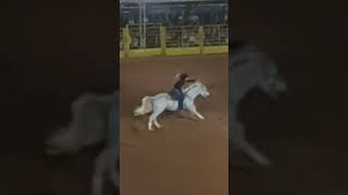 2024 Macaé Rodeo amp Barrel Racing Extravaganza Speed Skill and Thrills 2024 rodeo EDIT [upl. by Ysiad]